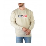Tommy Hilfiger DM0DM14341-ACM sweatshirt Entry Flag men beige